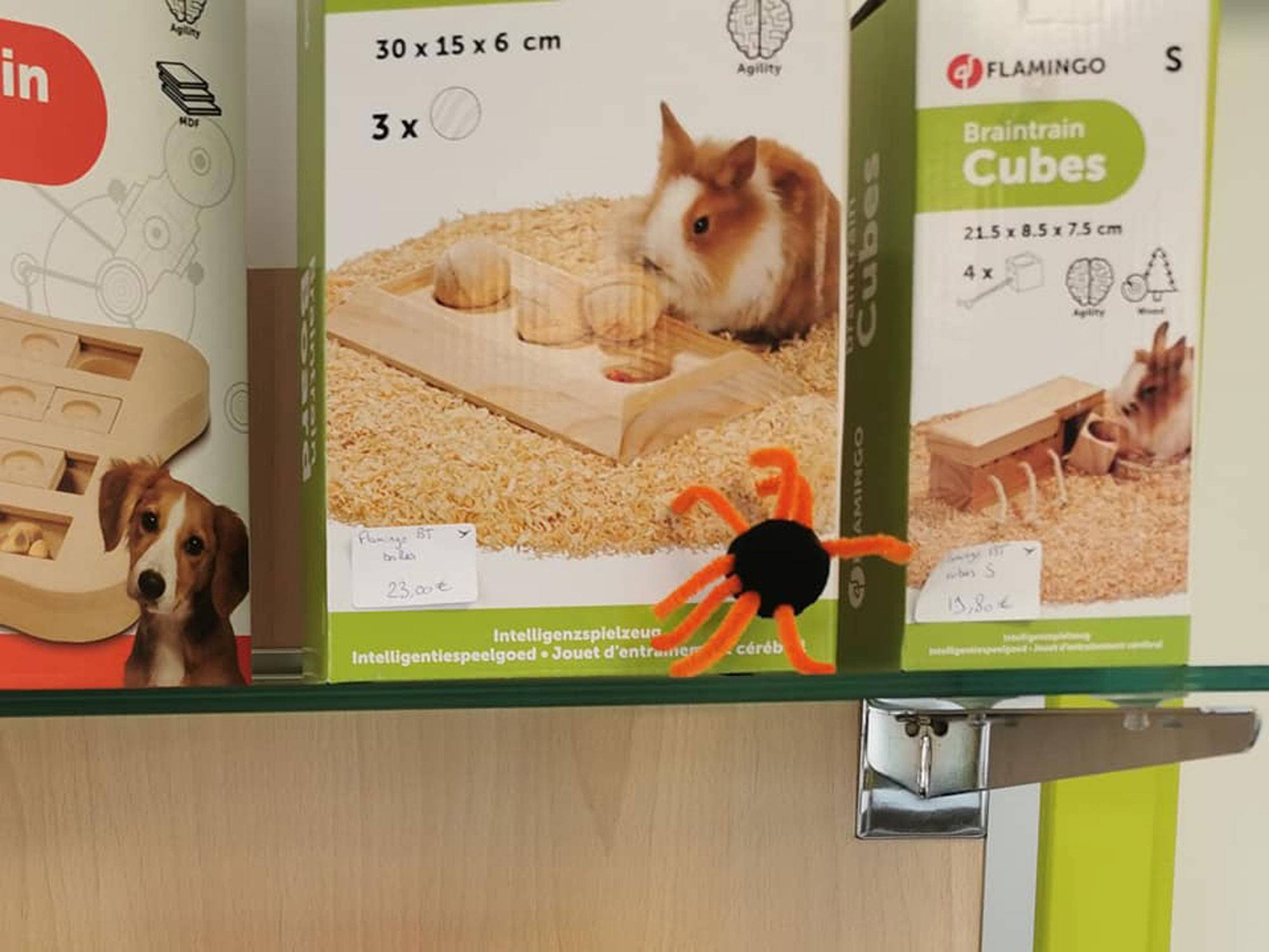 Jouets rongeurs
